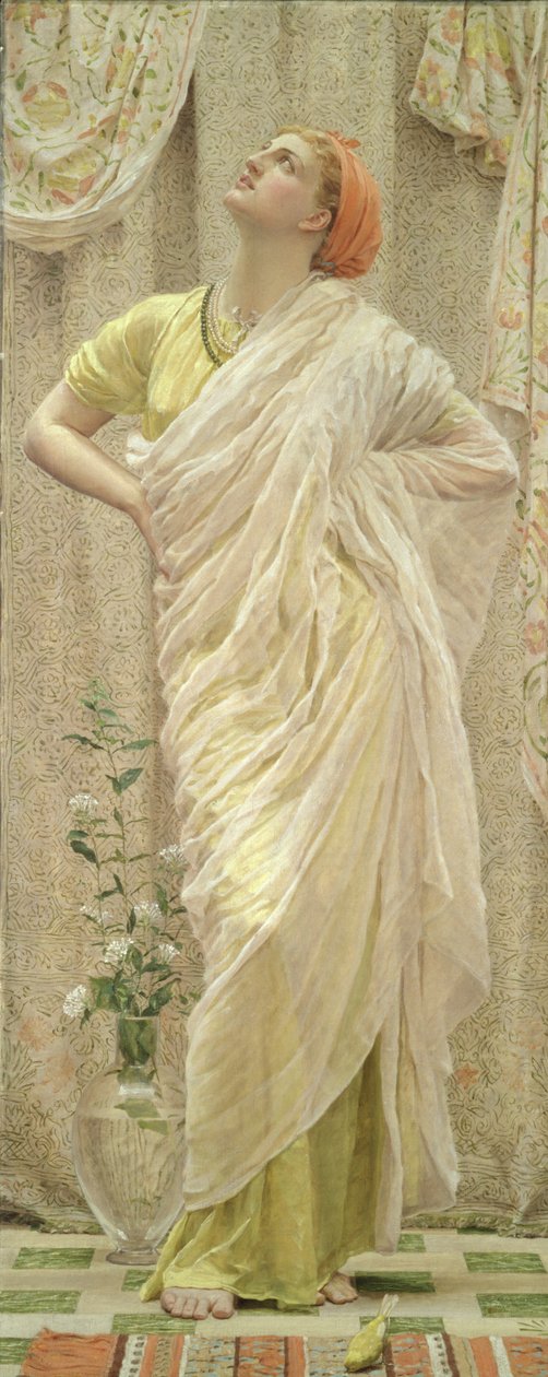 Madarak alkotó: Albert Joseph Moore