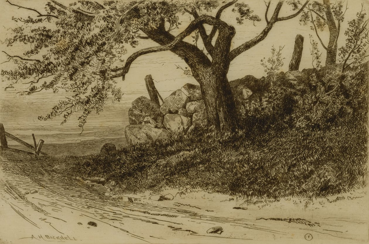 Országút alkotó: Albion Harris Bicknell