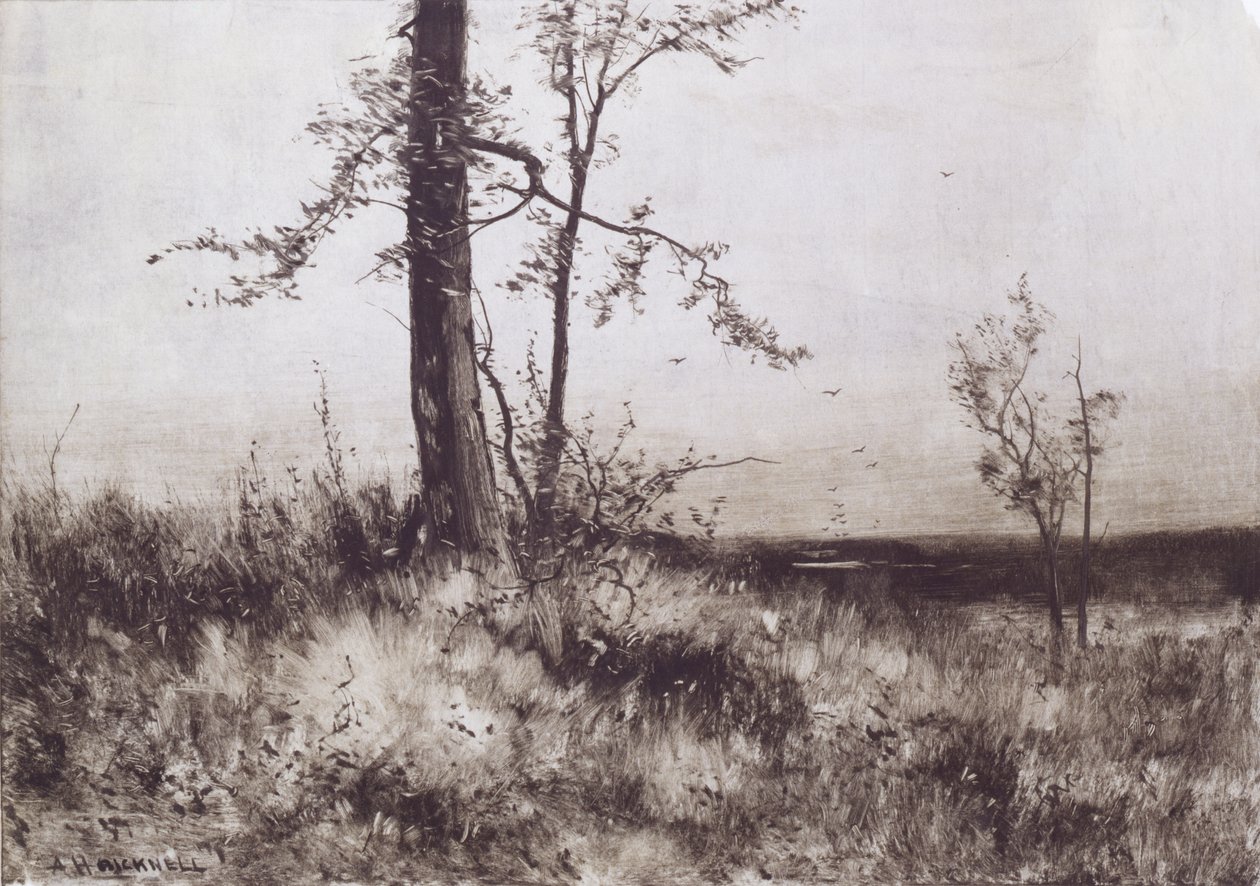 Tájkép alkotó: Albion Harris Bicknell