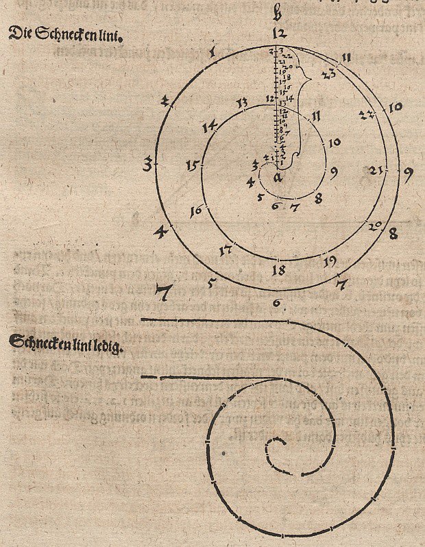 Arkhimédészi spirál alkotó: Albrecht Dürer