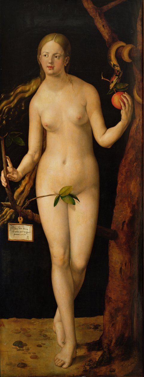 Éva, 1507 alkotó: Albrecht Dürer