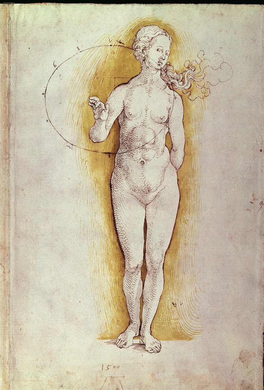 Női akt (toll és tinta papíron) alkotó: Albrecht Dürer