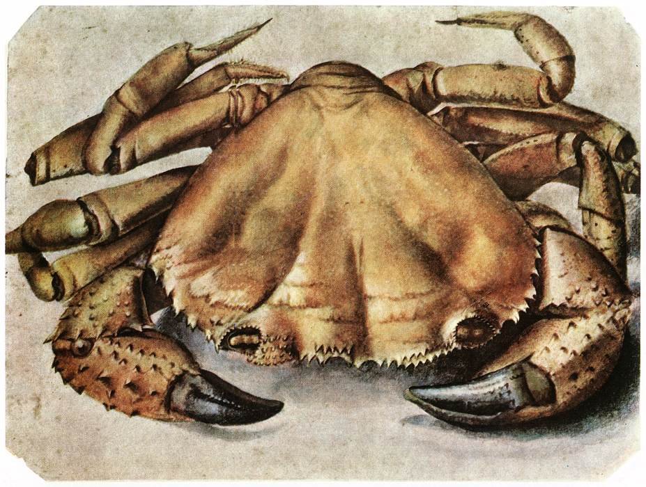 Krebs alkotó: Albrecht Dürer