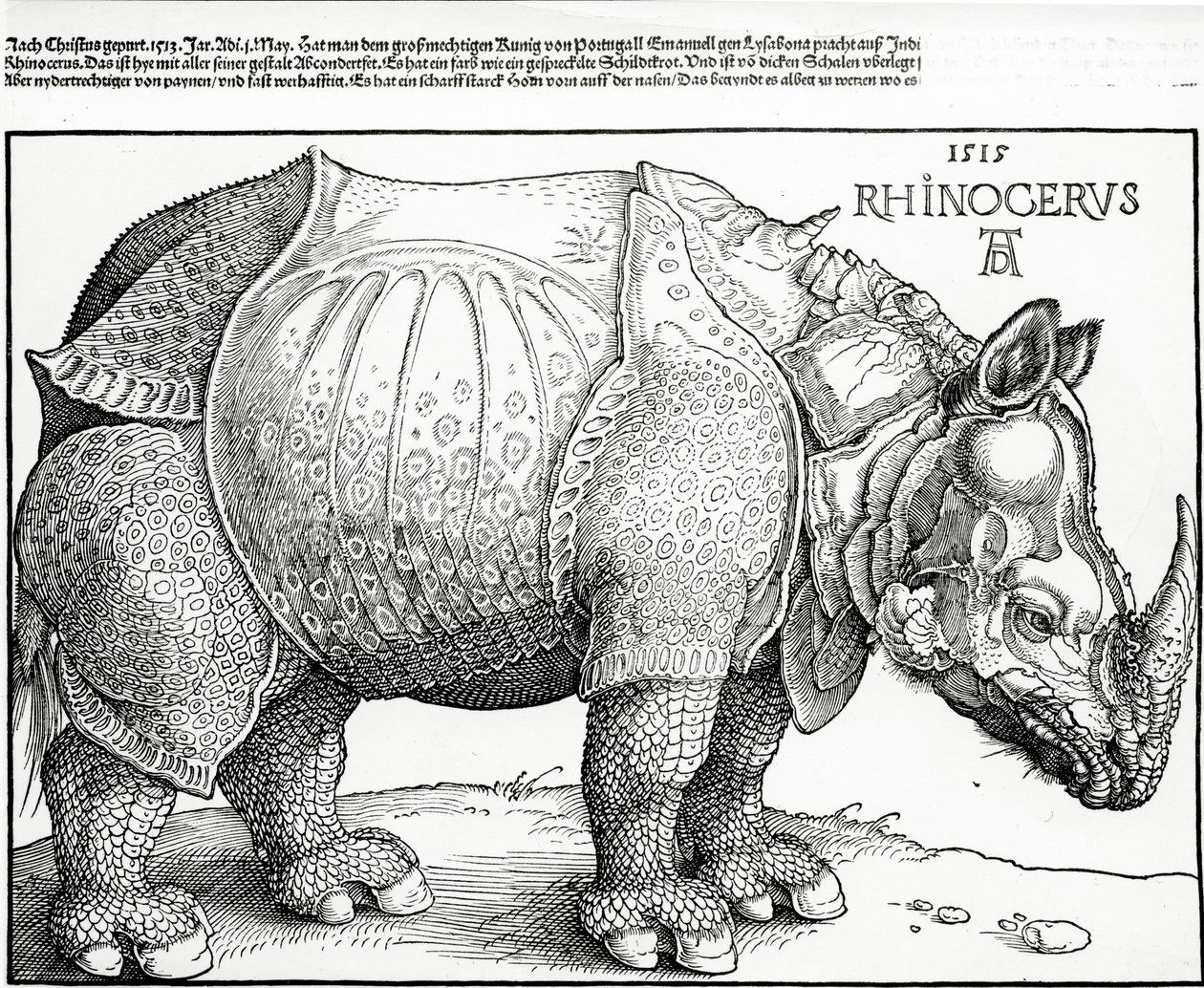 Az orrszarvú, 1515 alkotó: Albrecht Dürer