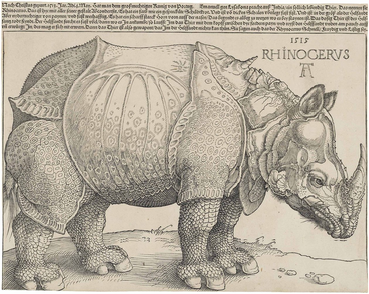 Az orrszarvú, 1515 alkotó: Albrecht Dürer