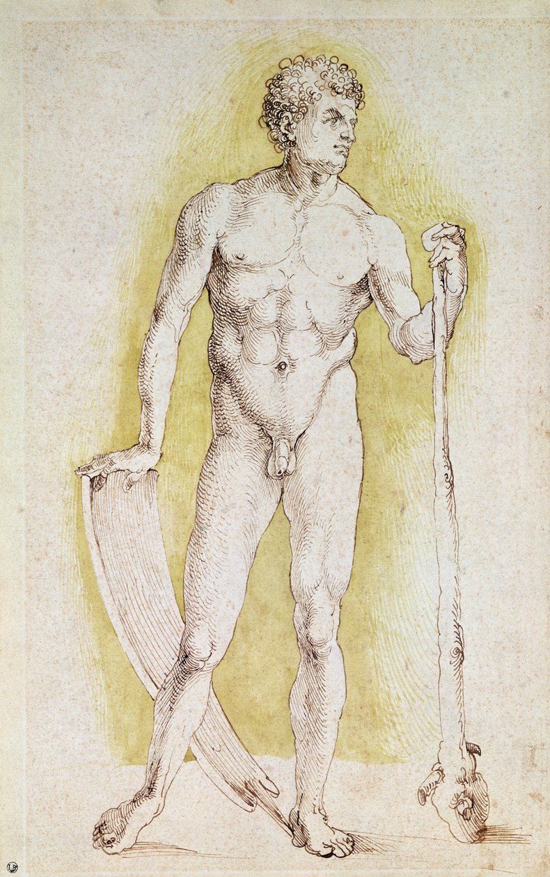 Fiatal meztelen férfi alkotó: Albrecht Dürer