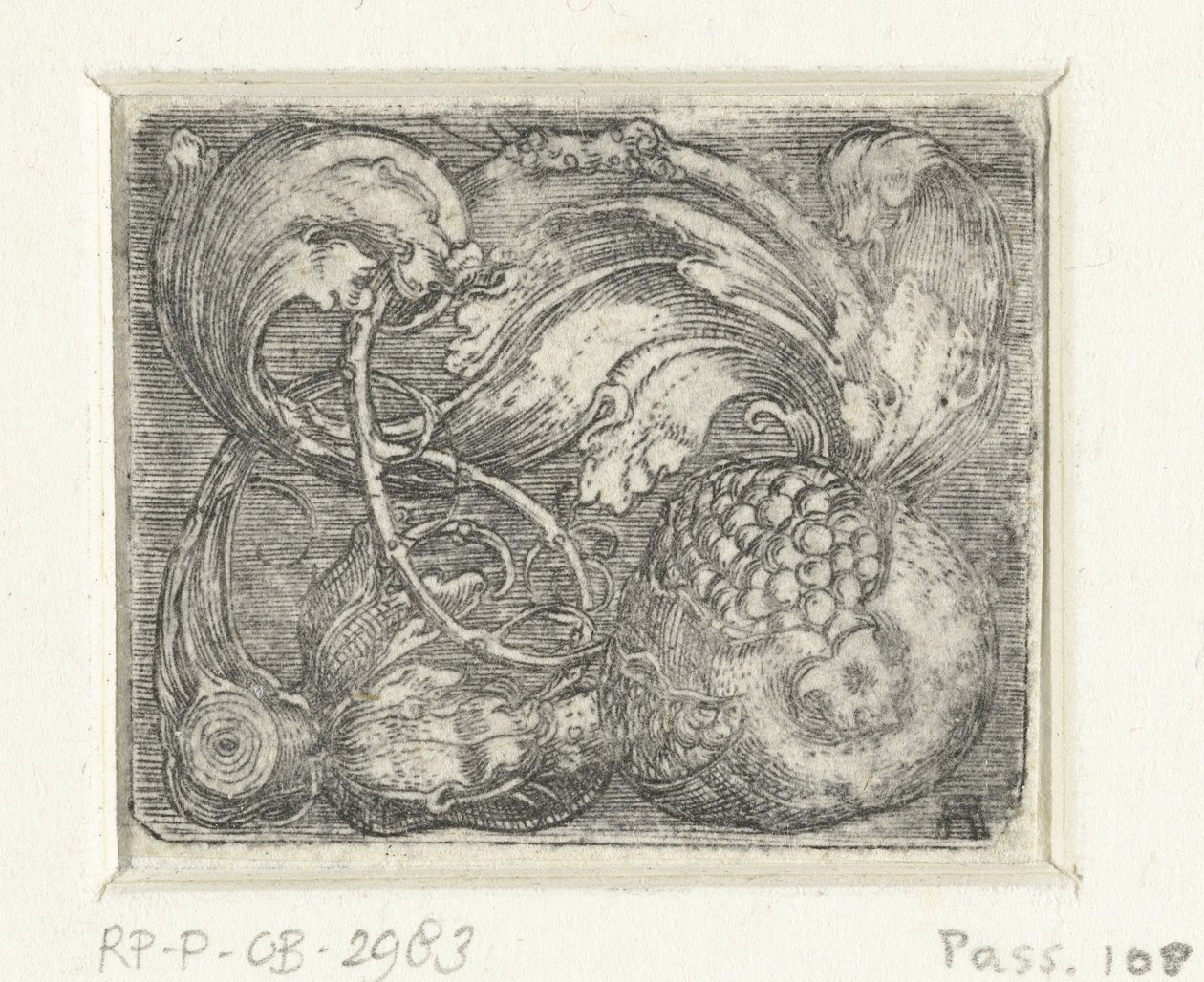 Gránátalma és levél szőlő alkotó: Albrecht Altdorfer