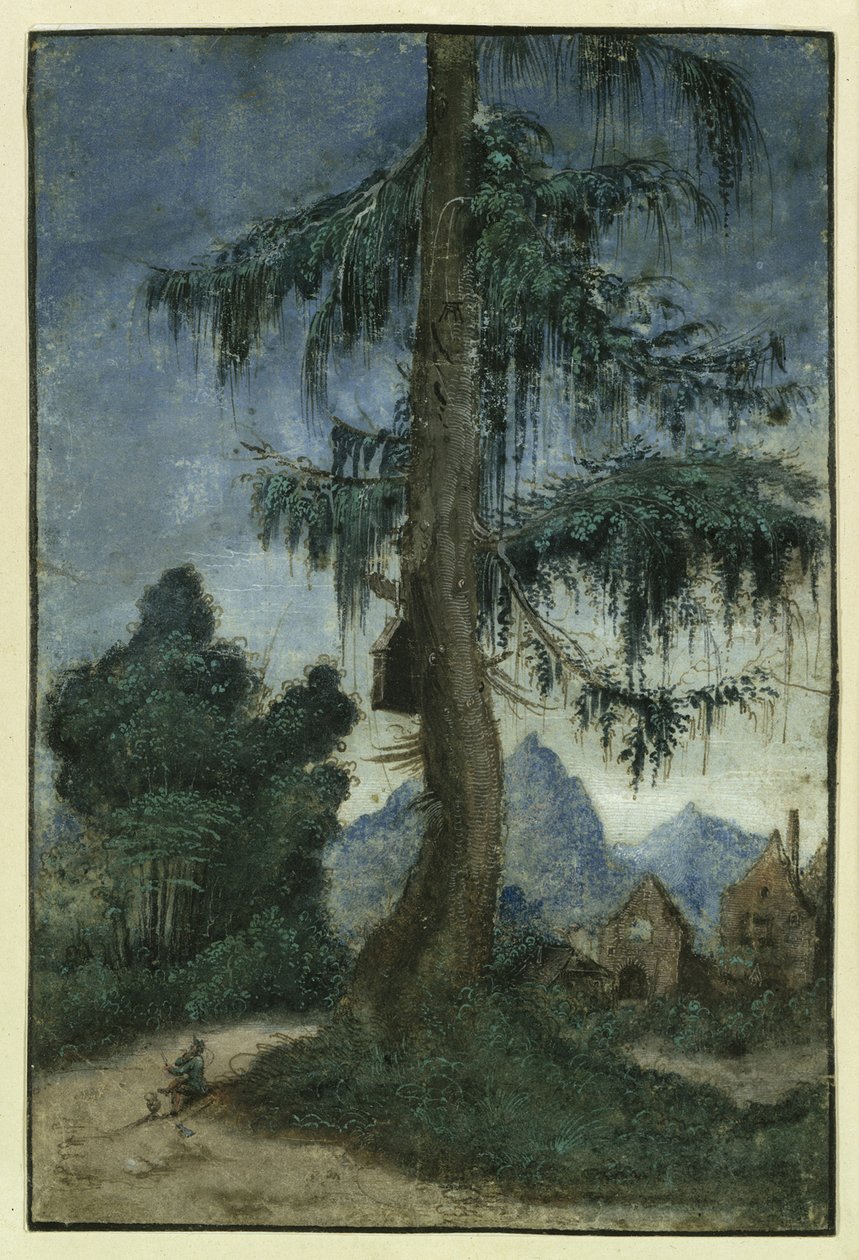 Táj lucfenyővel, 1522 körül. alkotó: Albrecht Altdorfer