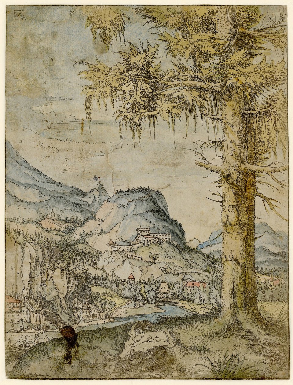 Nagy lucfenyő, kb. 1517-1520. alkotó: Albrecht Altdorfer