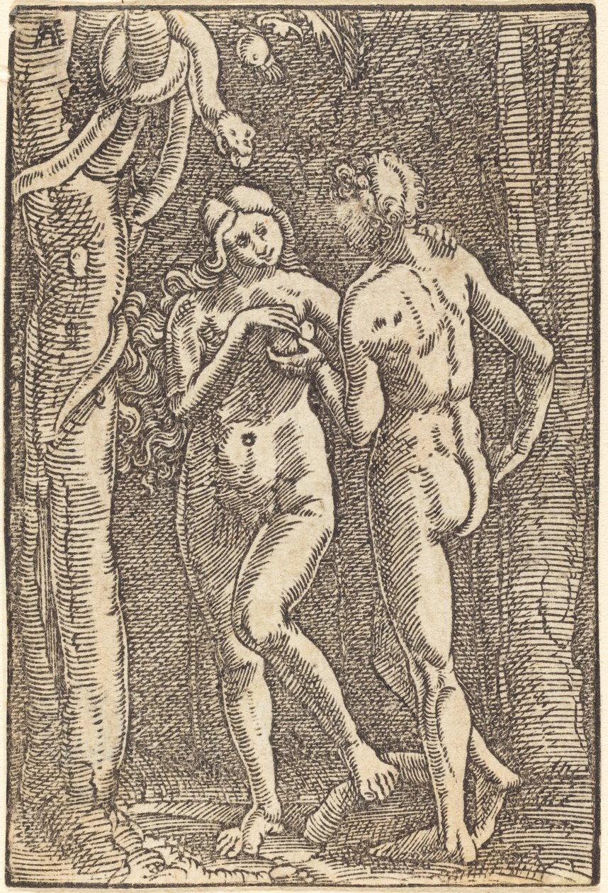 Az ember bukása alkotó: Albrecht Altdorfer