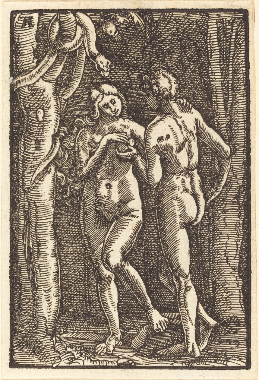 Az ember bukása alkotó: Albrecht Altdorfer