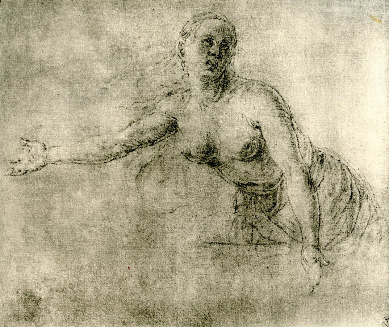Egy tanulmány, 1913 alkotó: Albrecht Dürer
