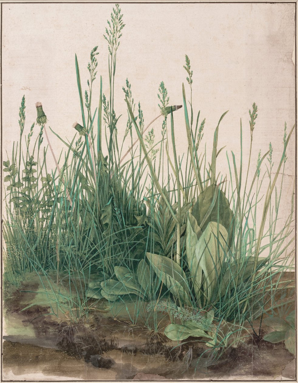 A nagy darab pázsit alkotó: Albrecht Dürer