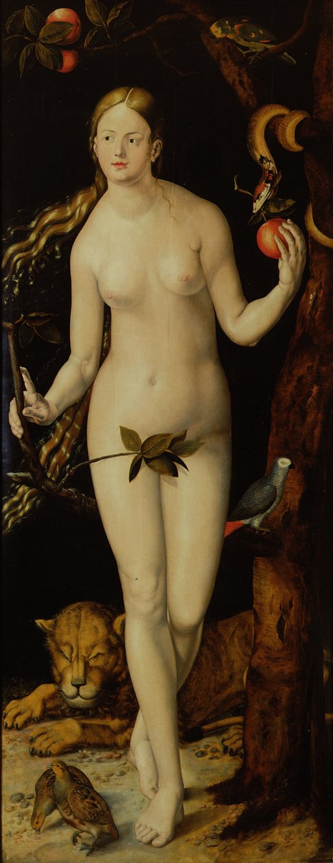 Éva alkotó: Albrecht Dürer