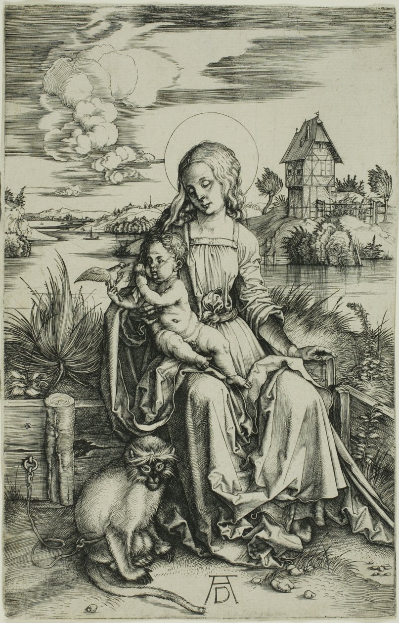 Madonna a majommal alkotó: Albrecht Dürer