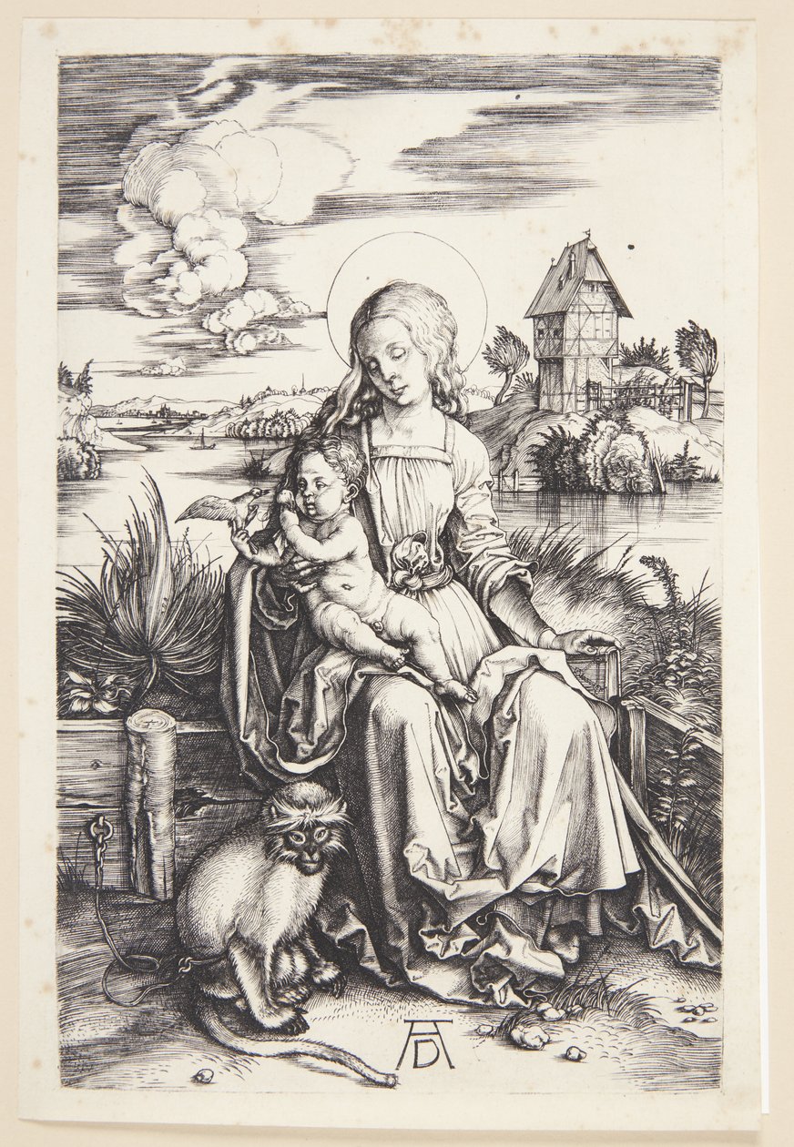 Madonna a majommal alkotó: Albrecht Dürer