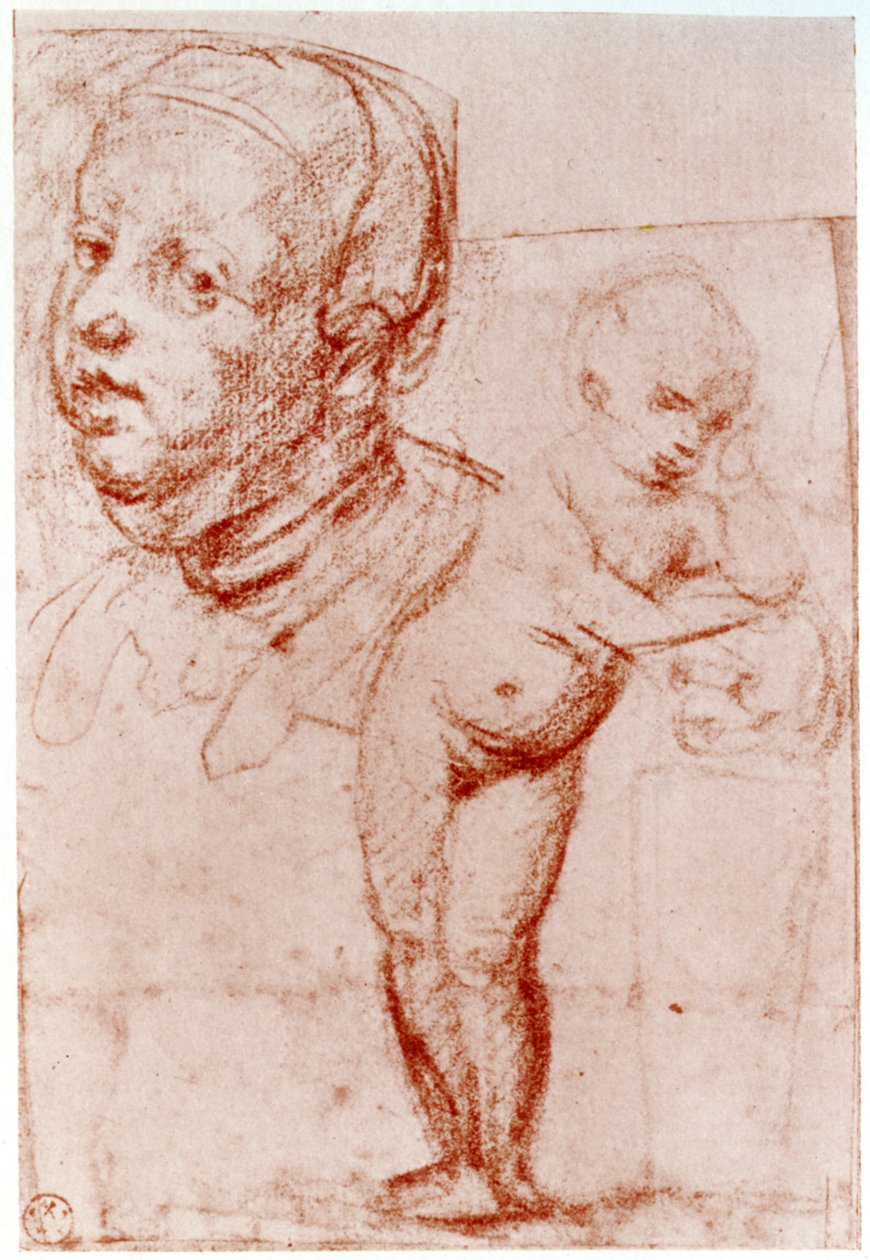 Tanulmányok, 1913. alkotó: Albrecht Dürer