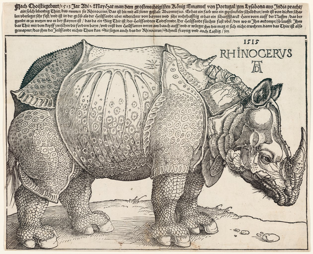 Az orrszarvú alkotó: Albrecht Dürer