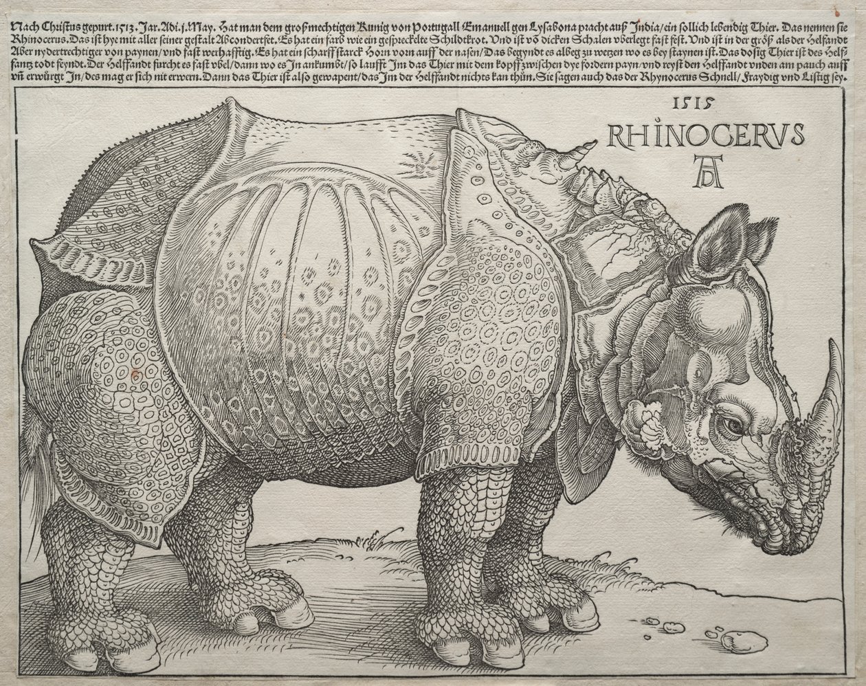 Az orrszarvú alkotó: Albrecht Dürer