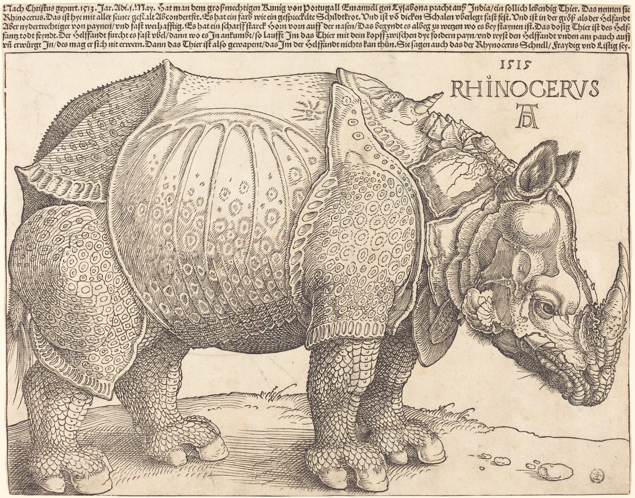 Az orrszarvú, 1515. alkotó: Albrecht Dürer