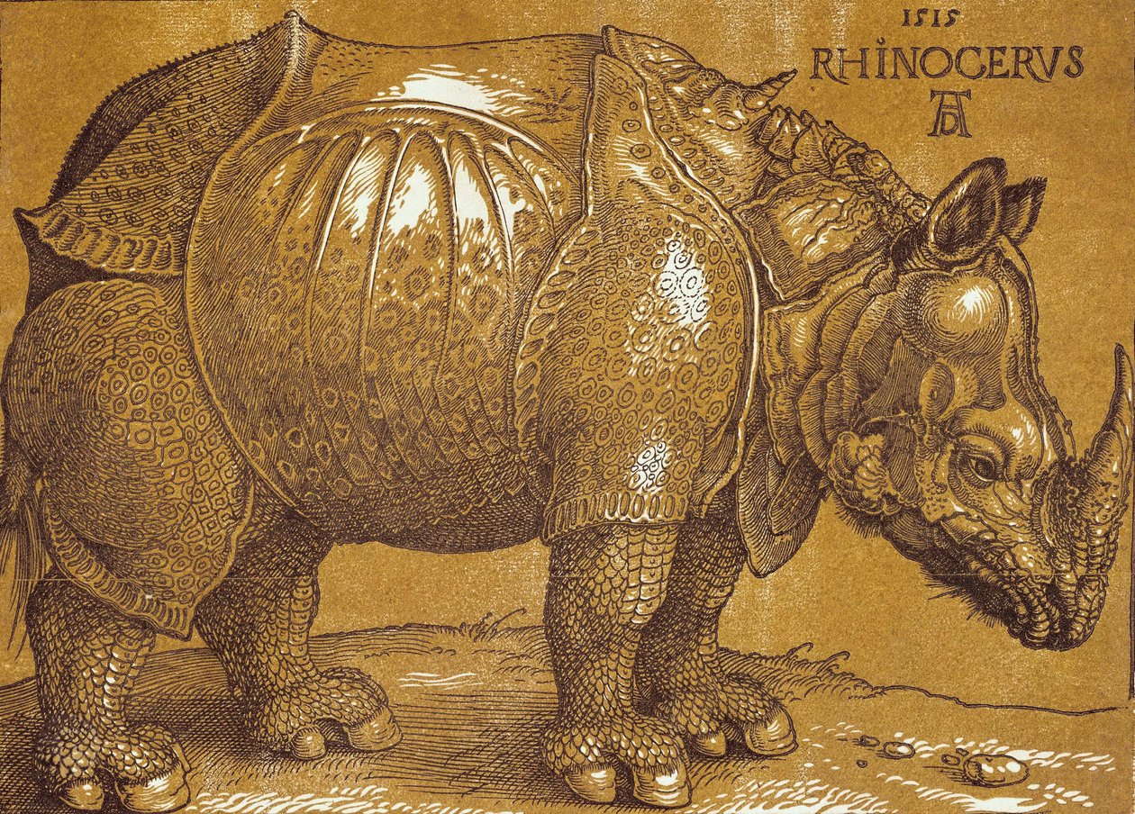 Az orrszarvú, 1515. alkotó: Albrecht Dürer