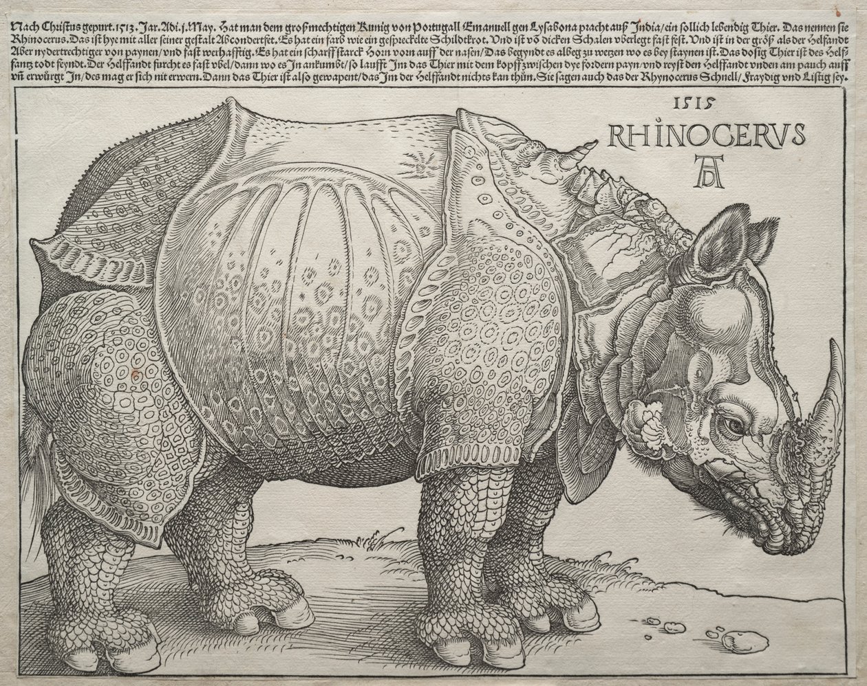 Az orrszarvú, 1515. alkotó: Albrecht Dürer