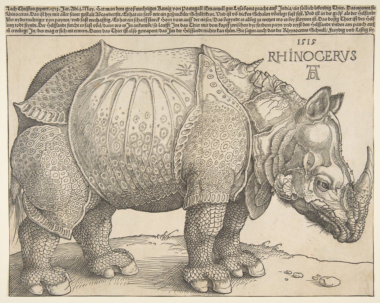 Az orrszarvú.n.d. alkotó: Albrecht Dürer