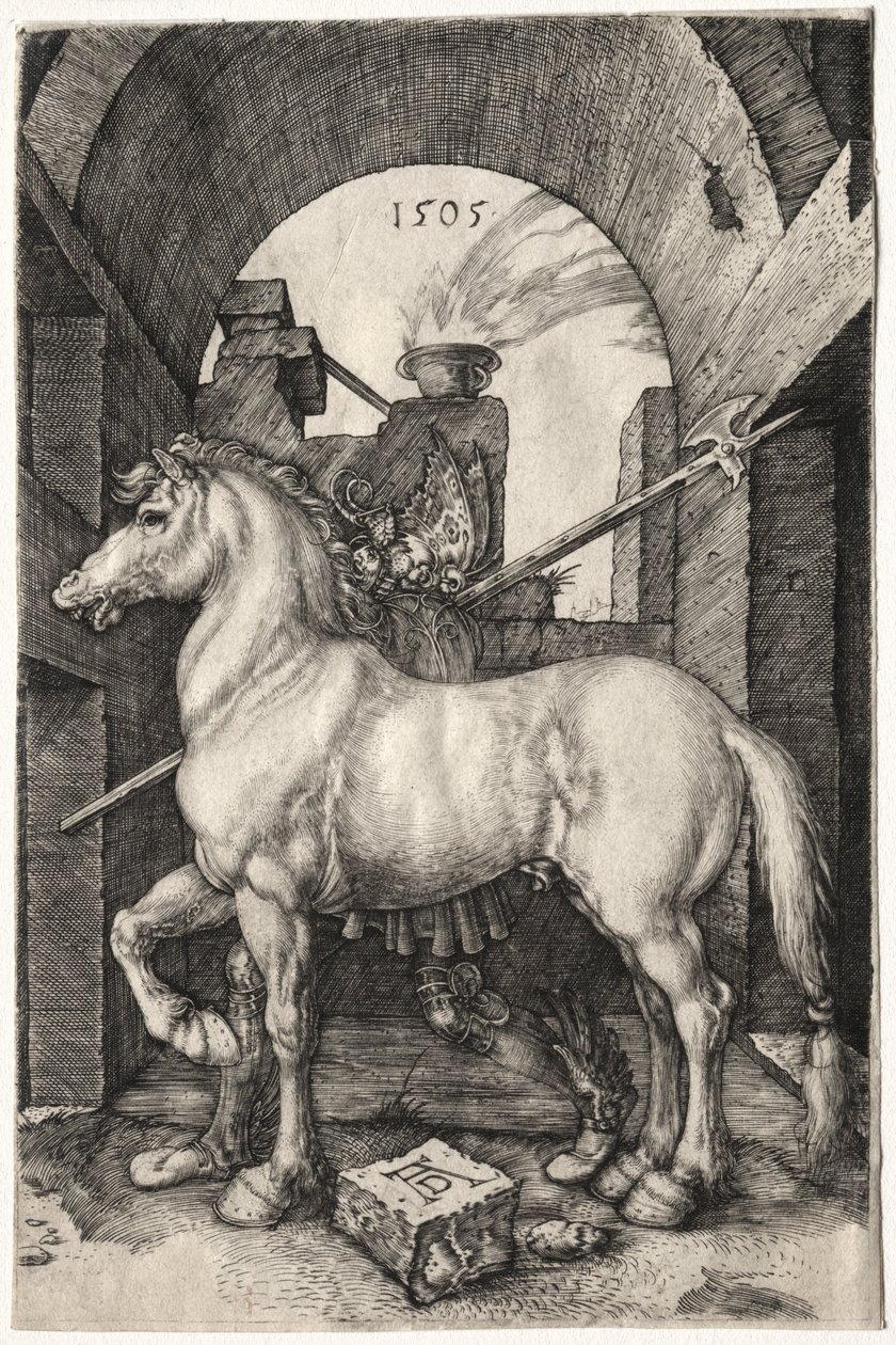 A kis ló, 1505. alkotó: Albrecht Dürer