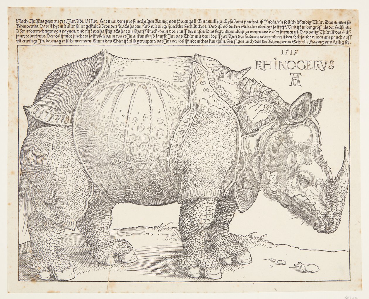 Az orrszarvú alkotó: Albrecht Dürer