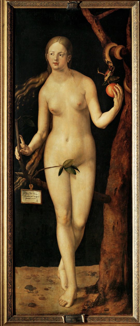 Eve alkotó: Albrecht Dürer or Duerer