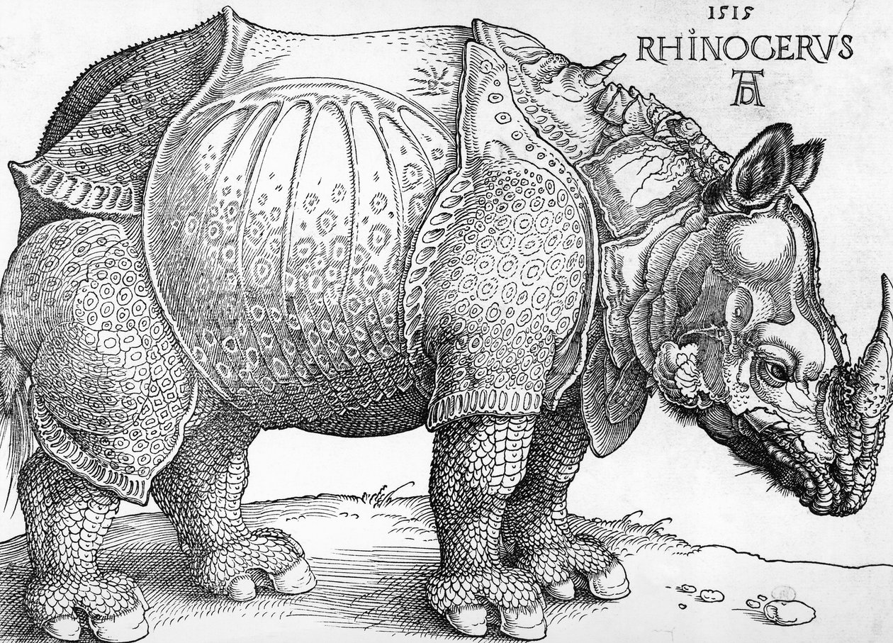 Orrszarvú alkotó: Albrecht Dürer