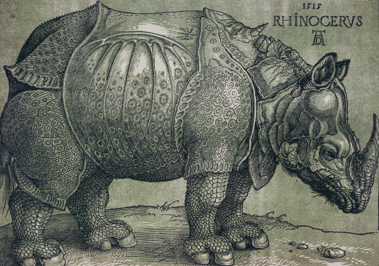 Az orrszarvú, 1515 alkotó: Albrecht Dürer