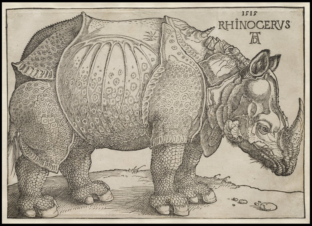 Az orrszarvú, 1515 alkotó: Albrecht Dürer
