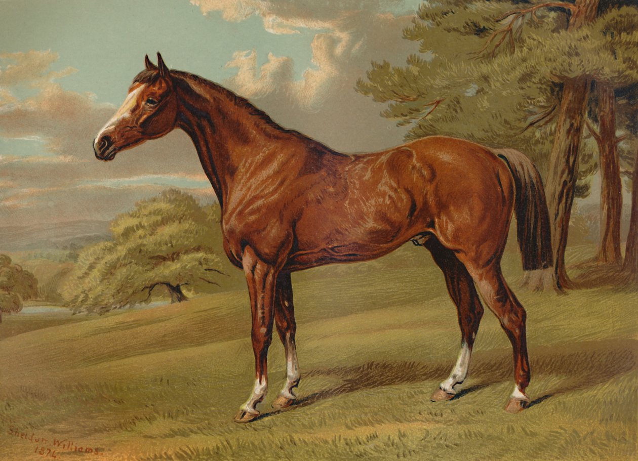 „Stilton A Hunter”, 1879. alkotó: Aldfred Sheldon Williams