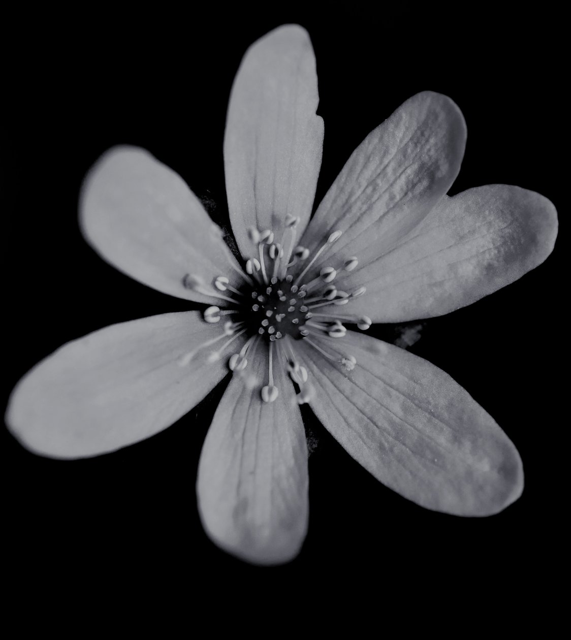 Cím nélkül, 2019, (fotó) alkotó: Alex Caminker
