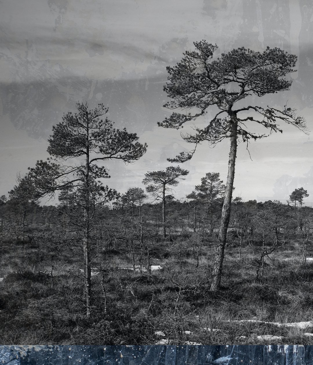 kék földalatti, 2019, (vegyes) alkotó: Alex Caminker