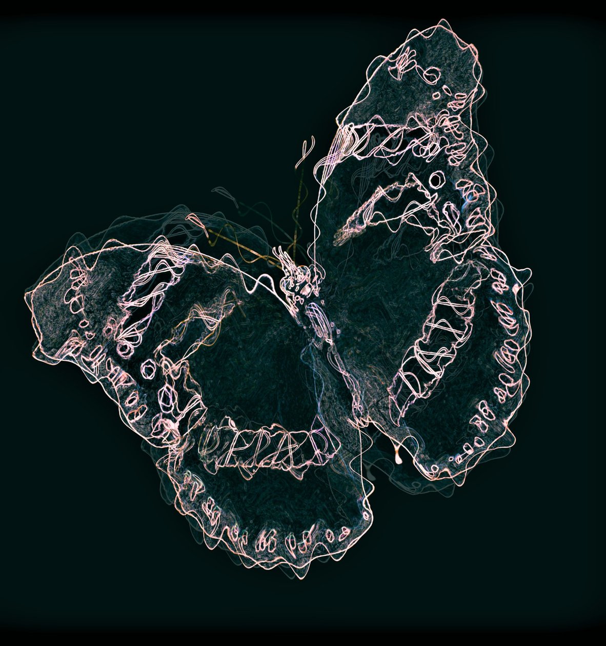 butterfly II, 2020,(vegyes technika) alkotó: Alex Caminker