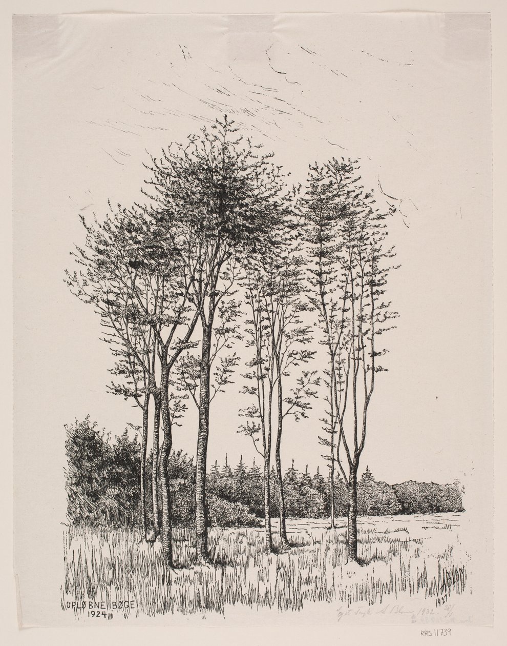 Rügyes bükkfák alkotó: Alexander Blom