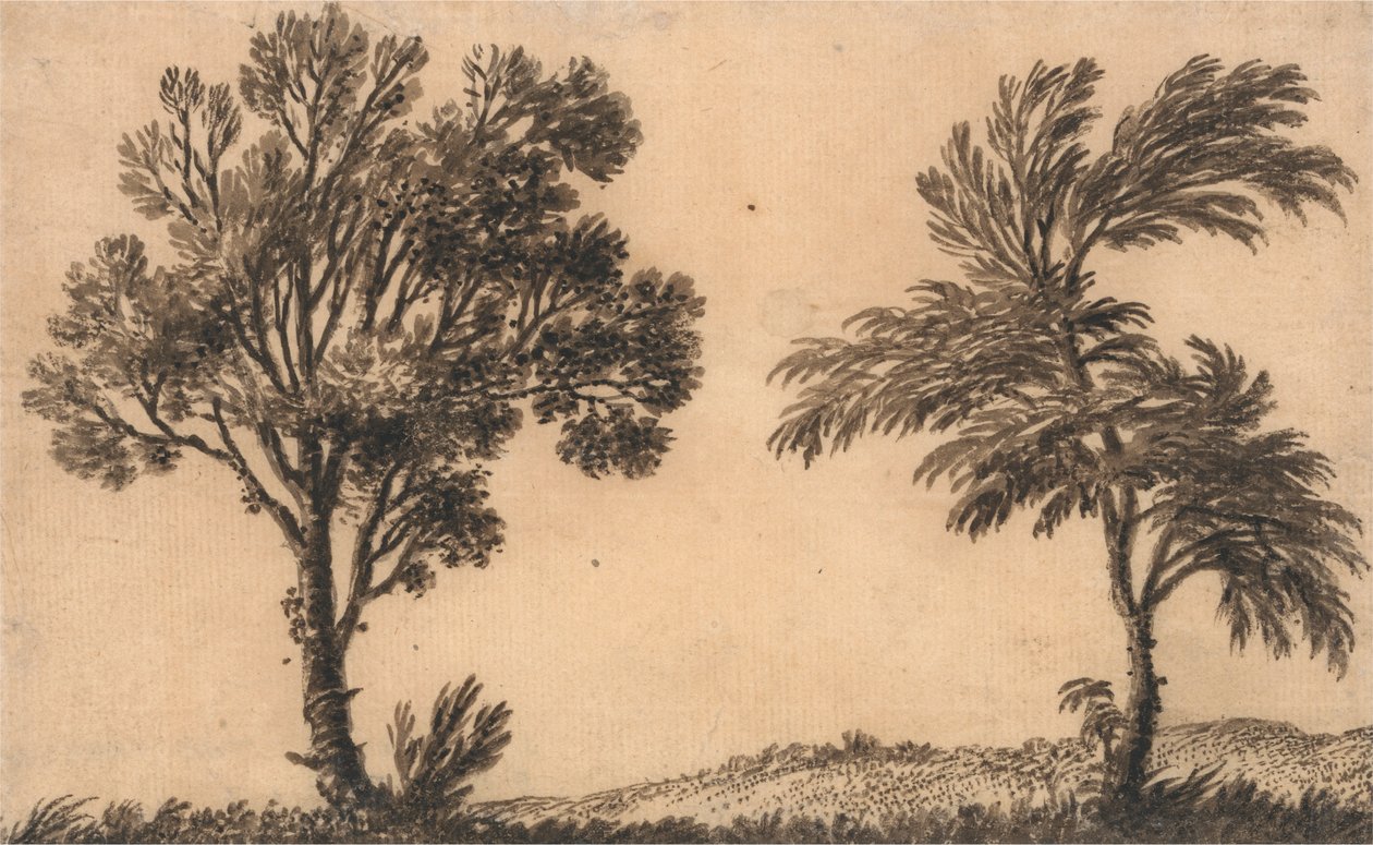 Tanulmány két fűzről alkotó: Alexander Cozens
