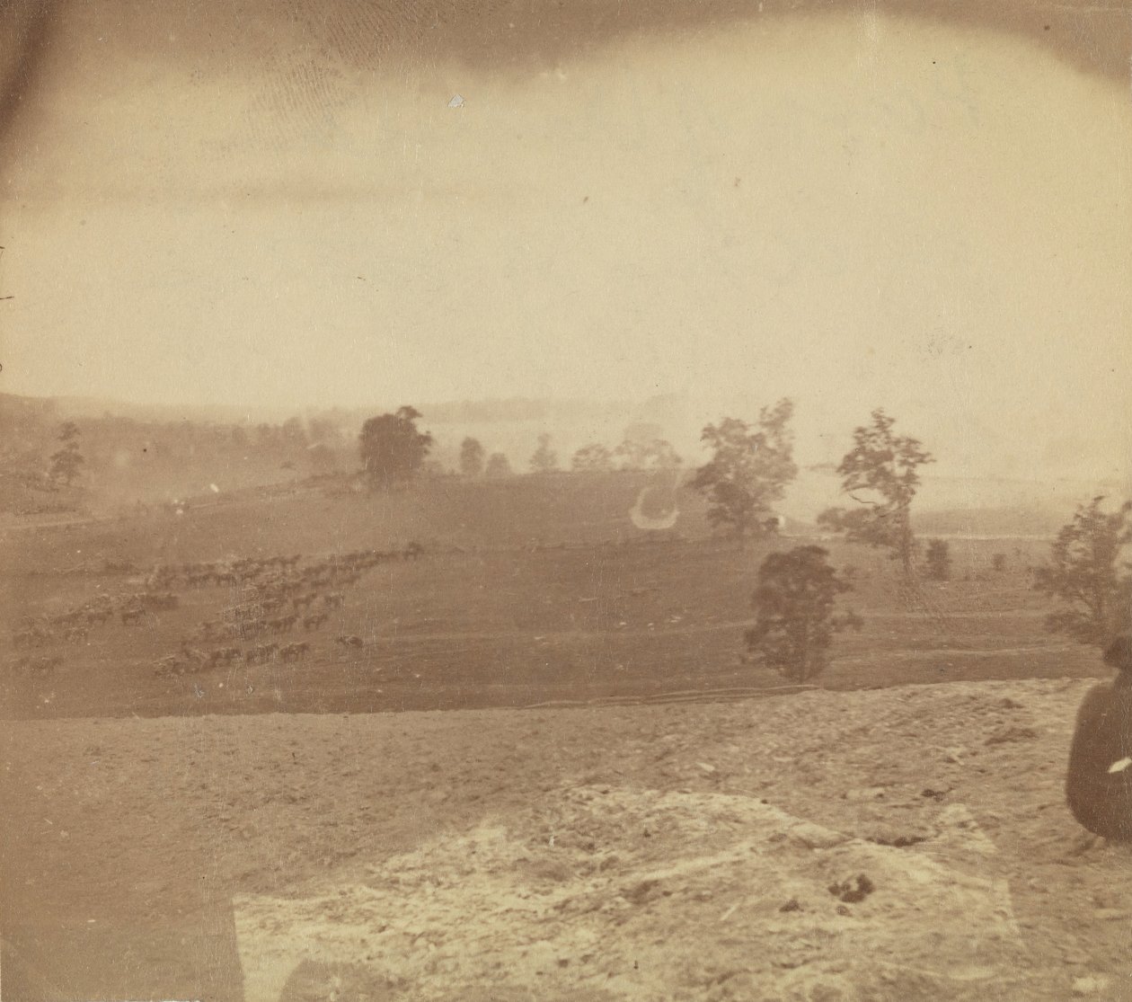 [Antietam Battlefield], 1862. alkotó: Alexander Gardner