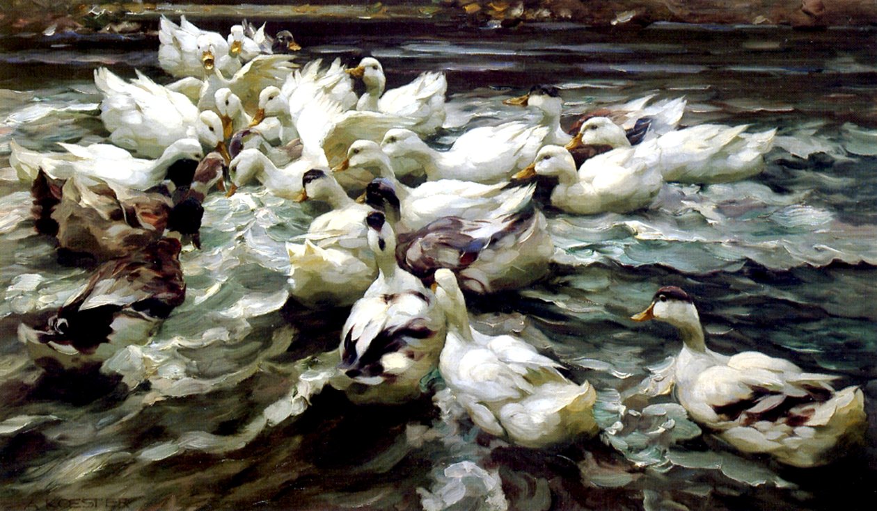 Ducks Gathering (olaj, vászon) alkotó: Alexander Koester