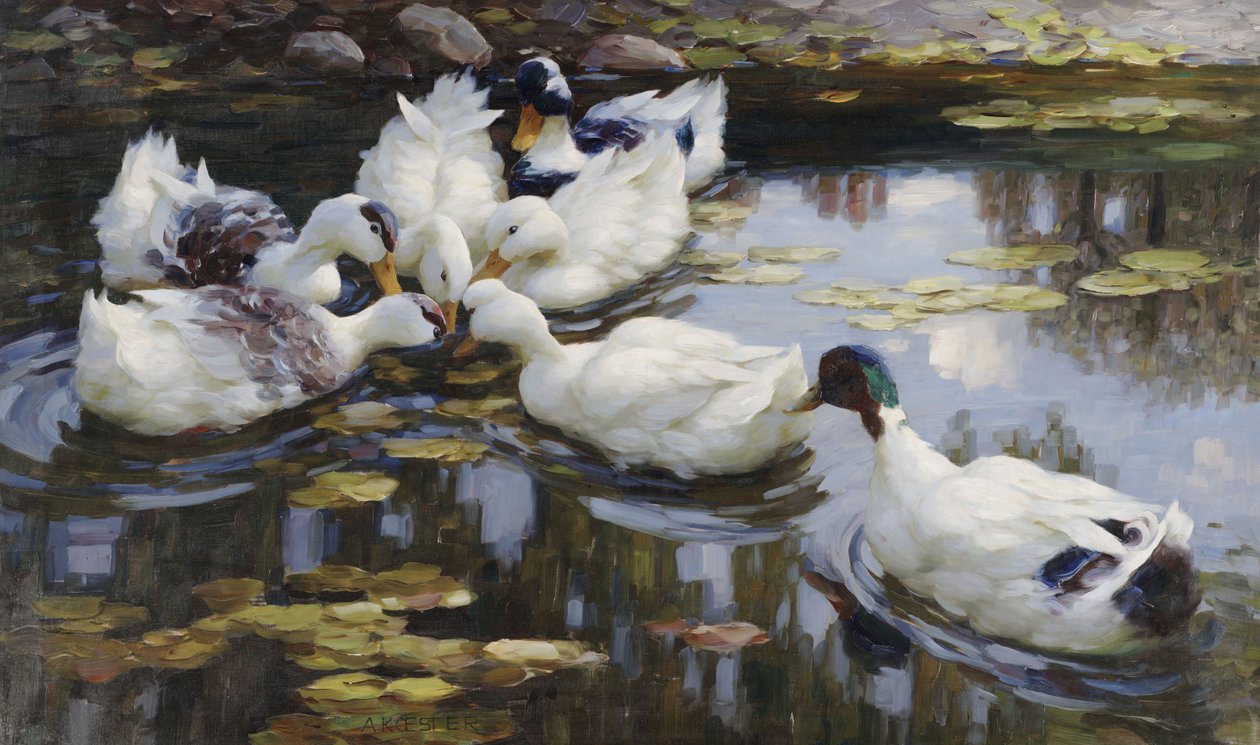 A Kacsa tó alkotó: Alexander Koester