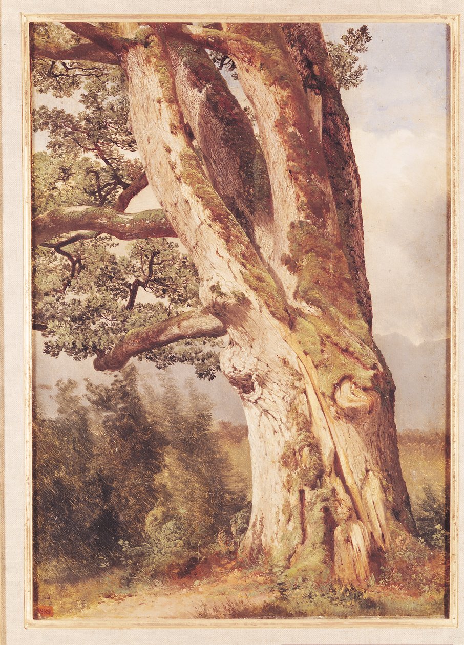 A tölgy alkotó: Alexandre Calame