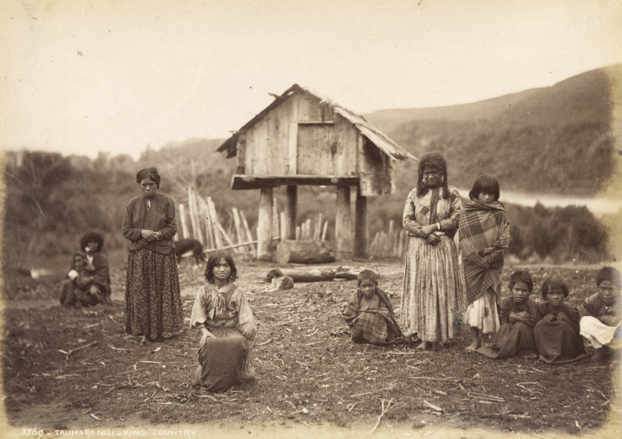Taumarunui – King Country, 1885. május 29. (albumnyomat) alkotó: Alfred Burton