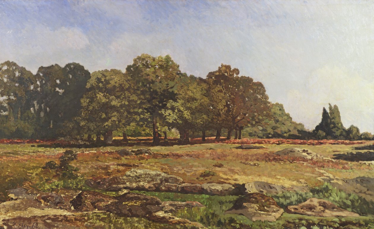 Gesztenyefák sugárútja, La Celle-Saint-Cloud, 1866-67 körül alkotó: Alfred Sisley