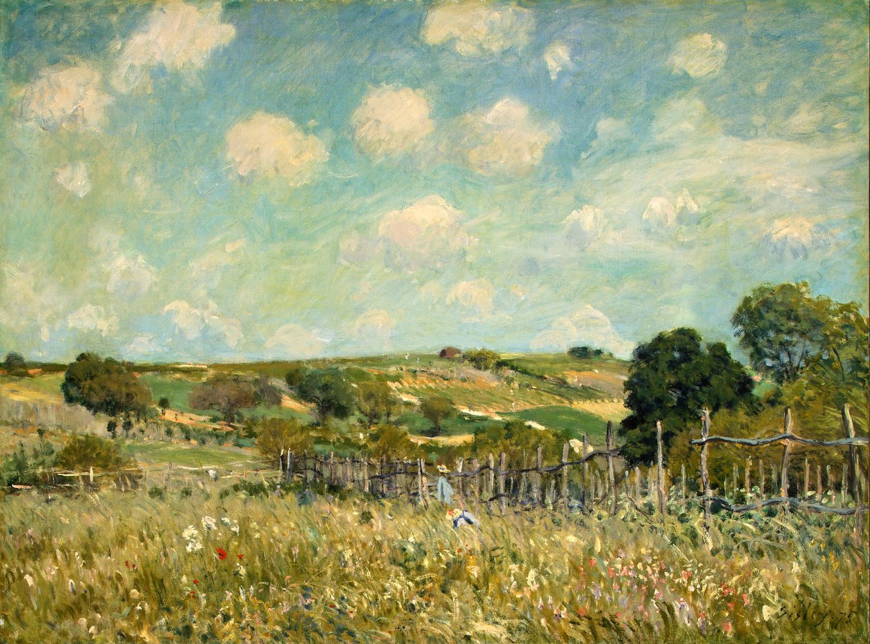 Meadow alkotó: Alfred Sisley