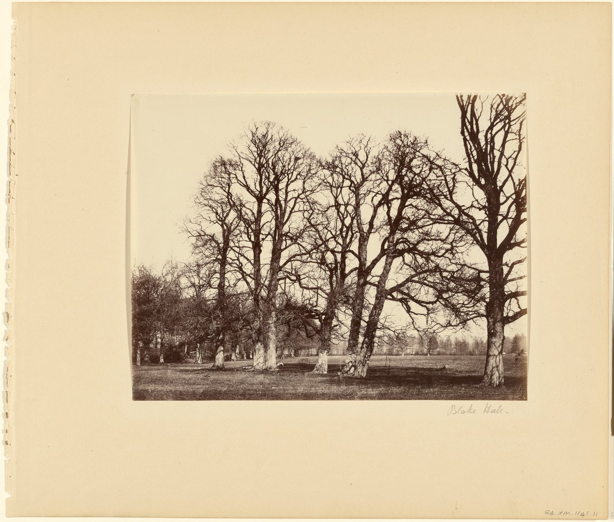 Blake Hall alkotó: Alfred Capel Cure