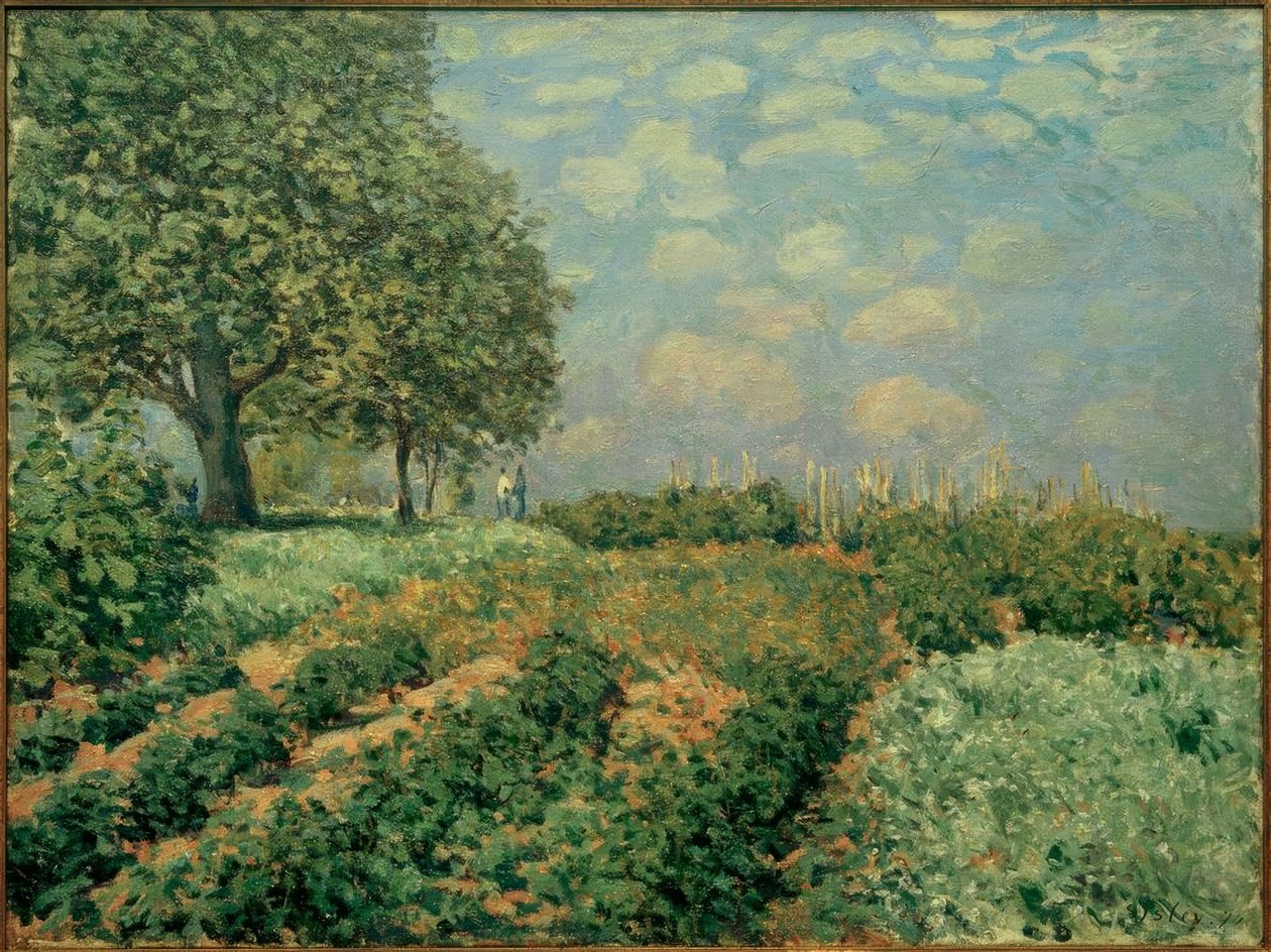 A mezők alkotó: Alfred Sisley