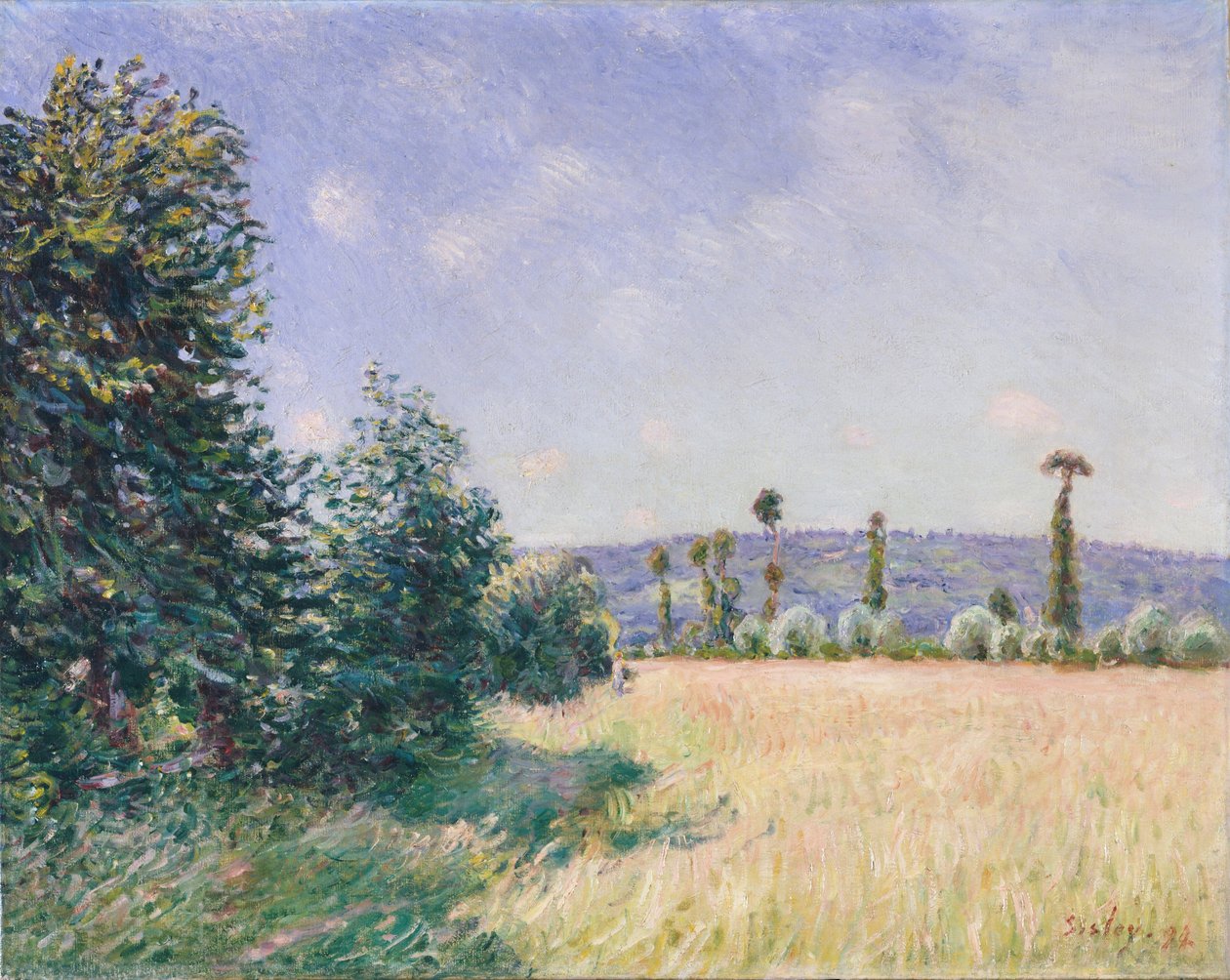 Sahurs Meadows reggel napsütésben, 1894 alkotó: Alfred Sisley