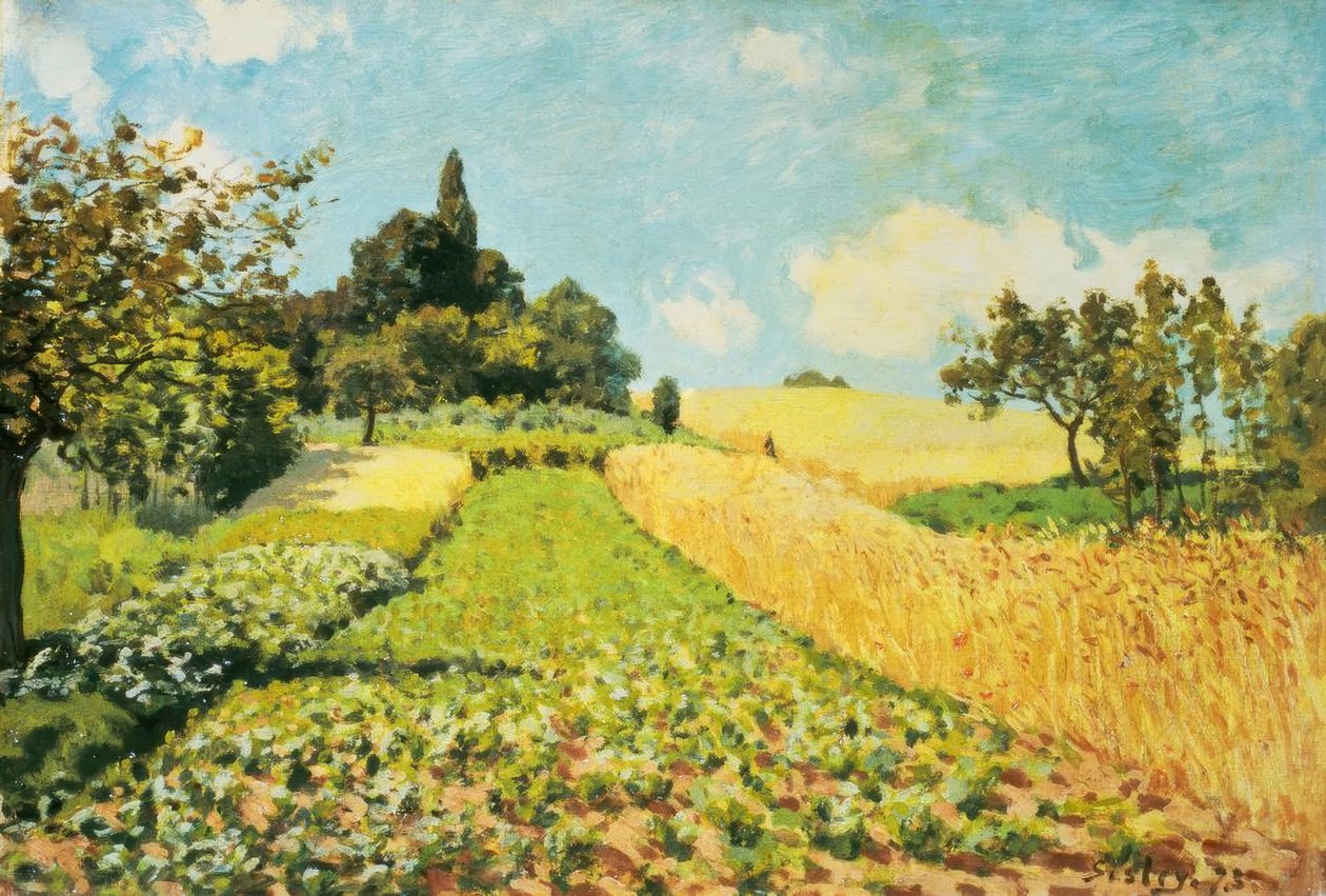 Búzamező alkotó: Alfred Sisley